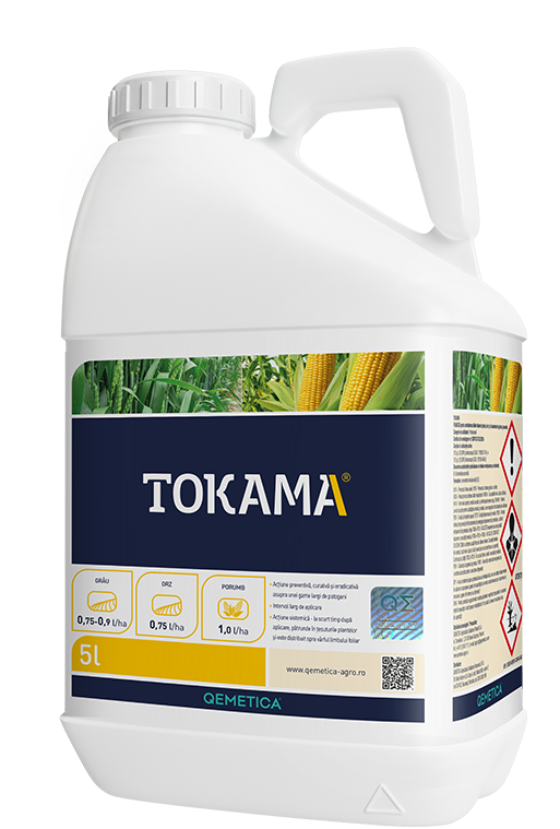 TOKAMA® featured image
