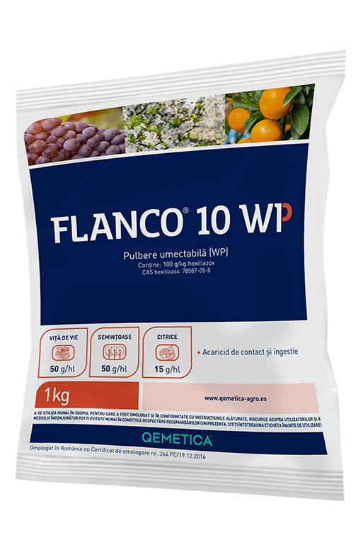 FLANCO 10 WP featured image